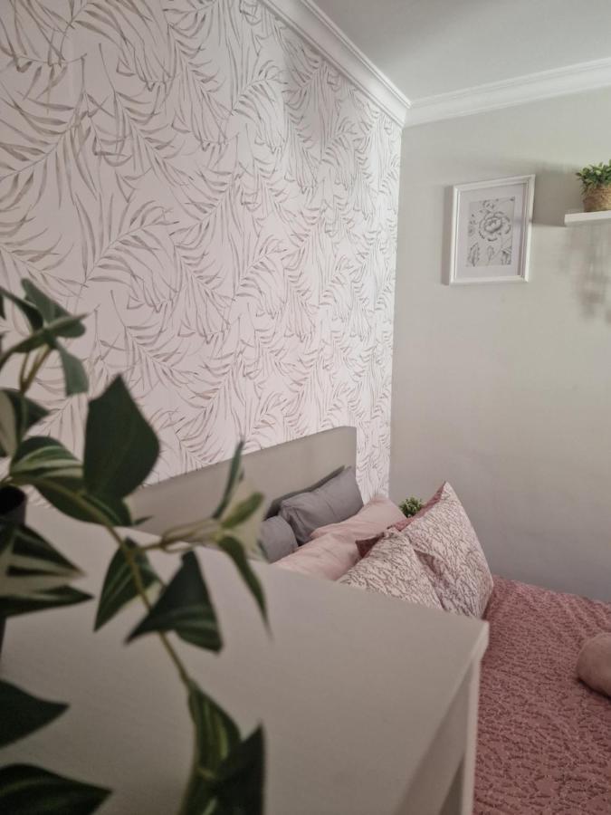 Picasso Apartment Málaga Eksteriør bilde